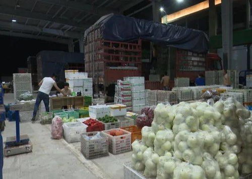 滨海农产品综合批发市场10月1日开业补贴全在这