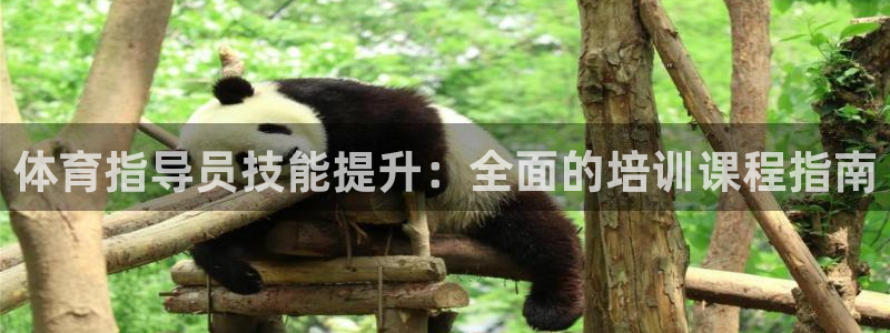 耀世娱乐脚本不死挂机能玩吗：体育指导员技能提升：全面