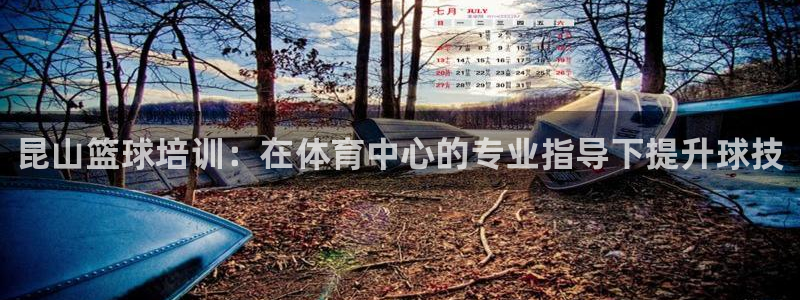 耀世娱乐客服电话号码：昆山篮球培训：在体育中心的专业