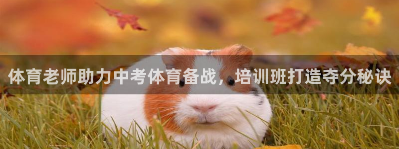 耀世集团董事长是谁：体育老师助力中考体育备战，培训班