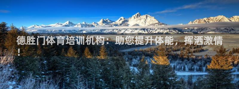 耀世集团王总简介：德胜门体育培训机构：助您提升体能，