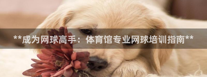 耀世娱乐是不是很黑的：**成为网球高手：体育馆专业网