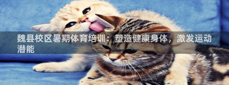 耀世平台app下载：魏县校区暑期体育培训：塑造健康身