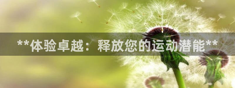 耀世平台合作 585.34I 平台：**体验卓越：释