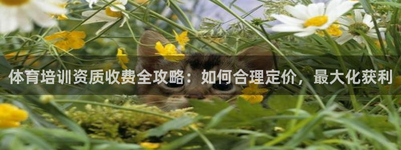 耀世娱乐中国创新：体育培训资质收费全攻略：如何合理定