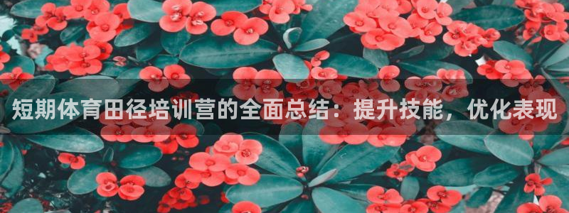 耀世娱乐脚本下载官网：短期体育田径培训营的全面总结：