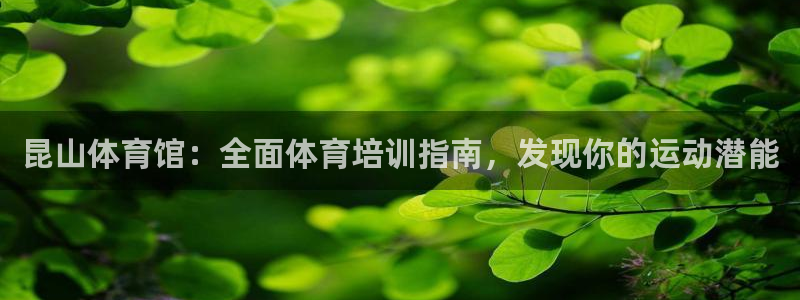 耀世天下的微信名字好吗：昆山体育馆：全面体育培训指南