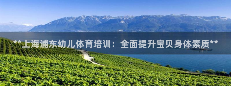 耀世平台最新注册地址在哪看：**上海浦东幼儿体育培训