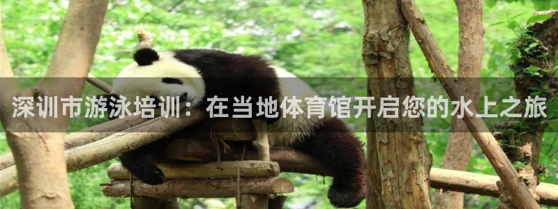 耀世盛典官网下载