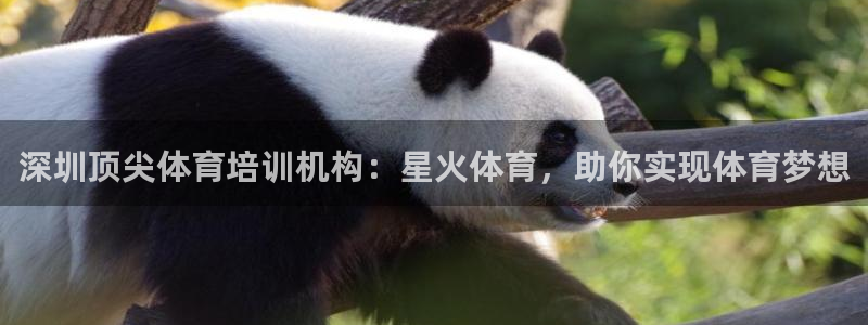 耀世娱乐脚本不死挂机