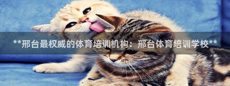 耀世平台合作 585.34I 平台：**邢台最权威的