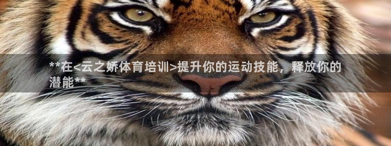 耀世平台日7O777：**在<云之娇体育培训>提升你