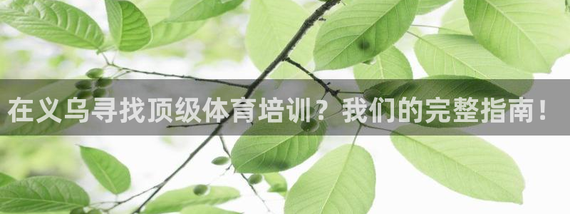 耀世娱乐客服：在义乌寻找顶级体育培训？我们的完整指南