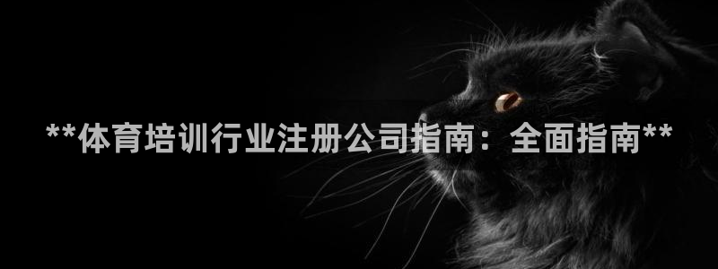 耀世挑战第3关怎么过：**体育培训行业注册公司指南：