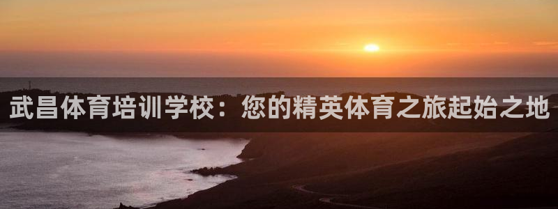 耀世挑战怎么过：武昌体育培训学校：您的精英体育之旅起