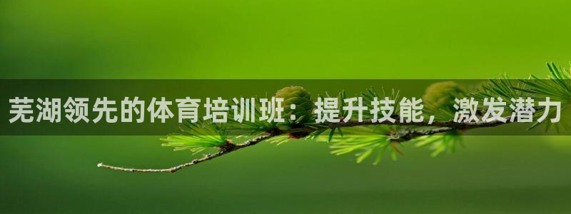 耀世是什么意思：芜湖领先的体育培训班：提升技能，激发
