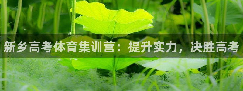 耀世平台的运营模式有哪些：新乡高考体育集训营：提升实