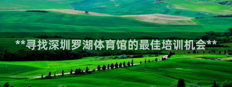 耀世娱乐脚本下载安装：**寻找深圳罗湖体育馆的最佳培
