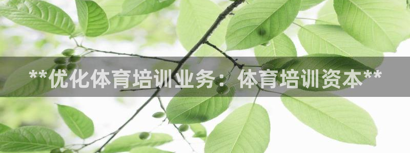 耀世娱乐是不是赚钱：**优化体育培训业务：体育培训资