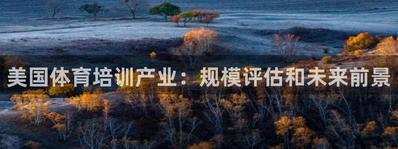 耀世天下网名好吗：美国体育培训产业：规模评估和未来前