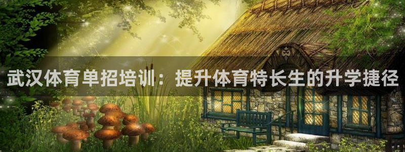 耀世娱乐骗局揭秘：武汉体育单招培训：提升体育特长生的