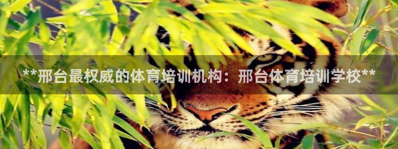 耀世平台产7O777：**邢台最权威的体育培训机构：