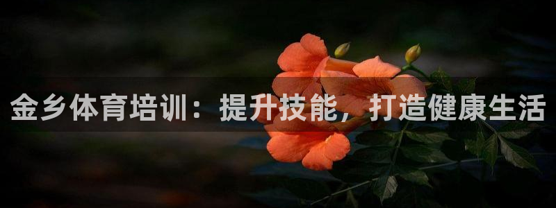耀世娱乐合法吗：金乡体育培训：提升技能，打造健康生活