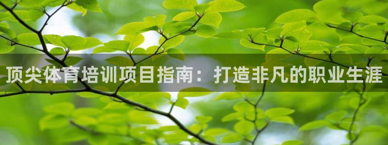 耀世平台易 411031 耀世：顶尖体育培训项目指南