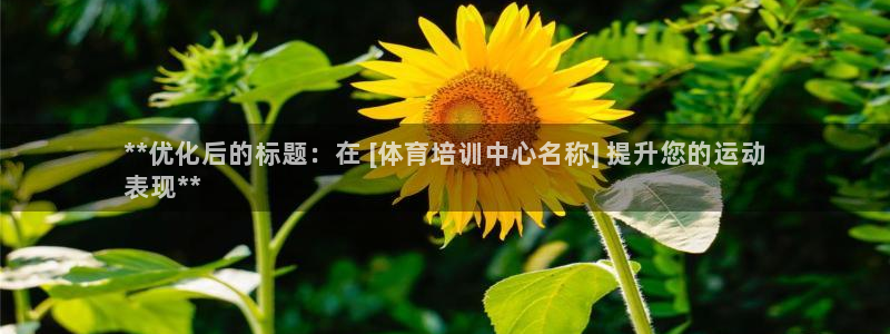 耀世娱乐在线登录官网入口网址：**优化后的标题：在 