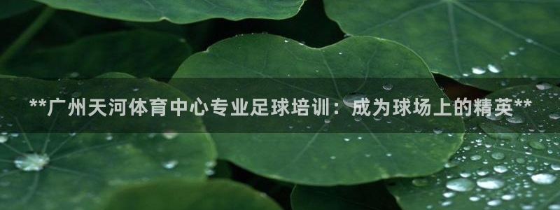 耀世平台卜6.7.5.1.3.8：**广州天河体育中