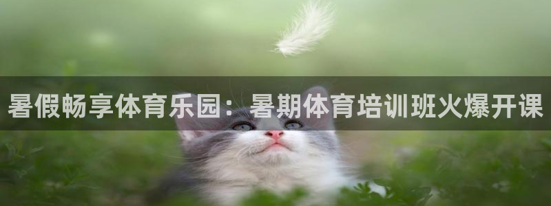 耀世璀璨：暑假畅享体育乐园：暑期体育培训班火爆开课
