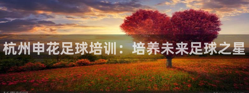 耀世平台卜6.7.5.1.3.8：杭州申花足球培训：