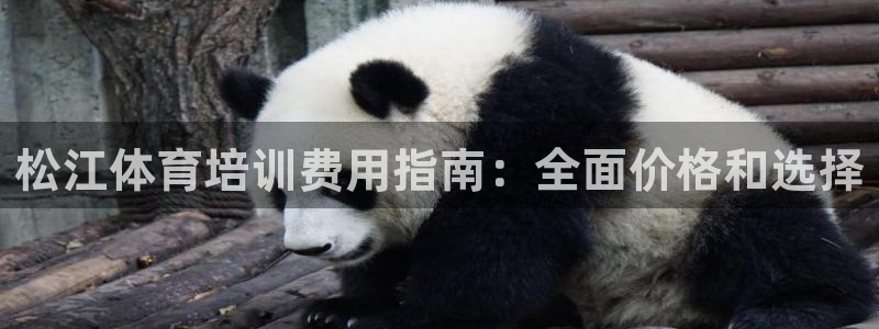 耀世娱乐电 5O6917 娱乐：松江体育培训费用指南