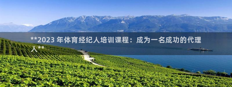耀世娱乐客服怎么样：**2023 年体育经纪人培训课