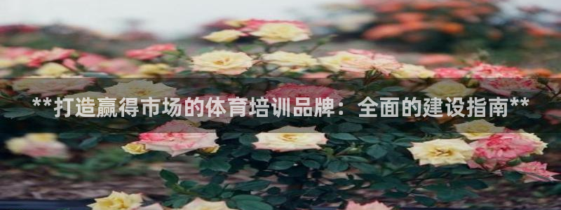 耀世娱乐官网注册账号：**打造赢得市场的体育培训品牌