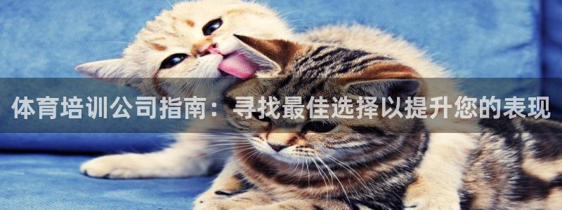 耀世官方网站：体育培训公司指南：寻找最佳选择以提升您