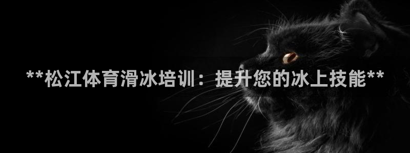 耀世出行：**松江体育滑冰培训：提升您的冰上技能**
