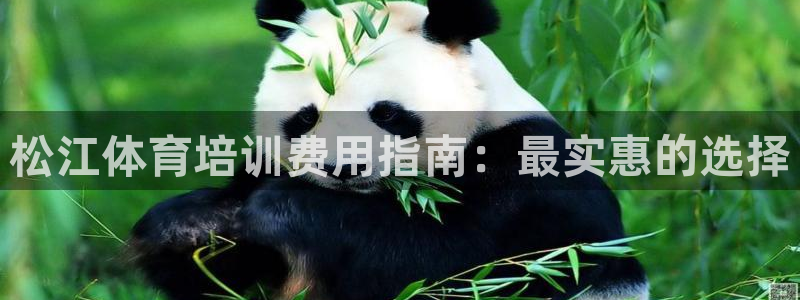 耀世平台重7O777：松江体育培训费用指南：最实惠的
