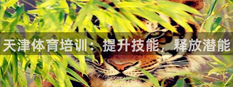 耀世平台代理怎么做任务：天津体育培训：提升技能，释放