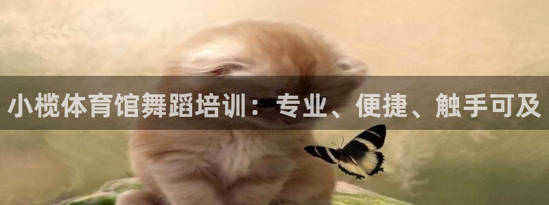 耀世娱乐几6.7.5.1.3.8：小榄体育馆舞蹈培训