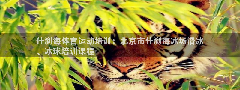 耀世国际集团董事长：什刹海体育运动培训：北京市什刹海