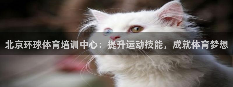 耀世挑战怎么打：北京环球体育培训中心：提升运动技能，