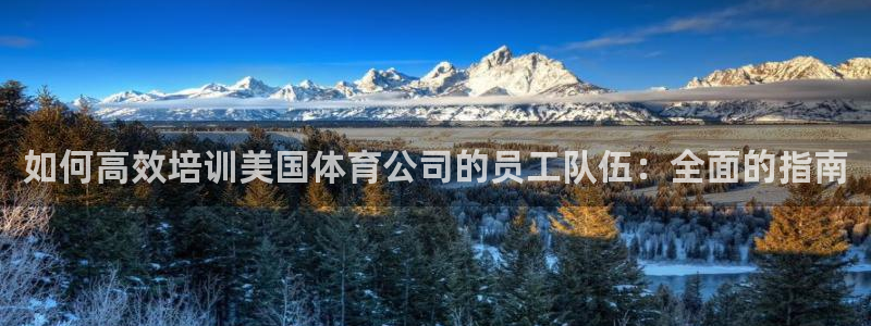 耀世娱乐怎么注册账号：如何高效培训美国体育公司的员工