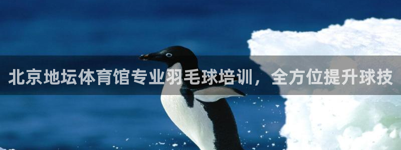 耀世娱乐能提现吗现在：北京地坛体育馆专业羽毛球培训，
