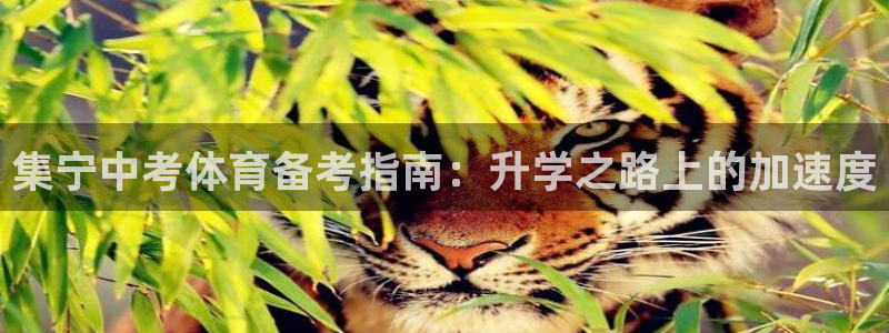 耀世天下搭配一个图片：集宁中考体育备考指南：升学之路