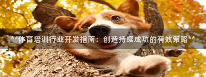 耀世国际集团董事长：**体育培训行业开发指南：创造持