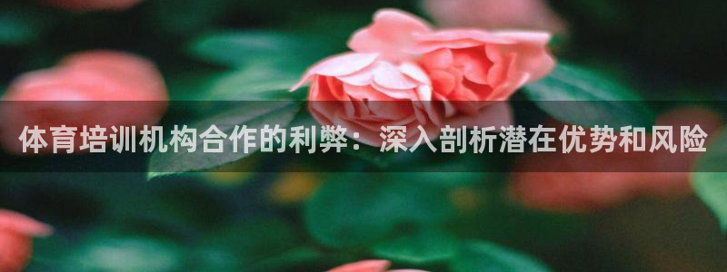 耀世娱乐注册开户要多久：体育培训机构合作的利弊：深入