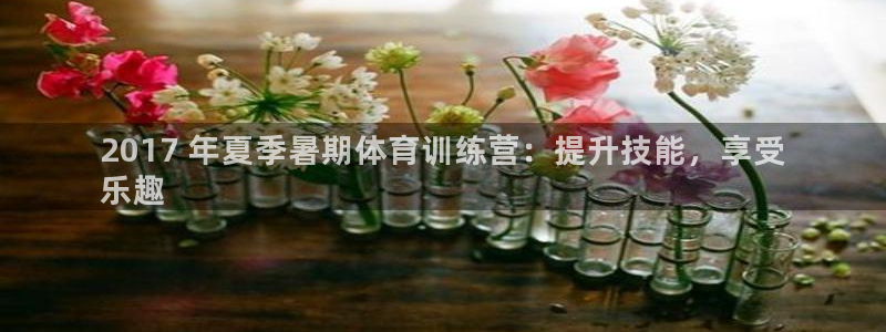耀世娱乐在线登录官网入口下载：2017 年夏季暑期体