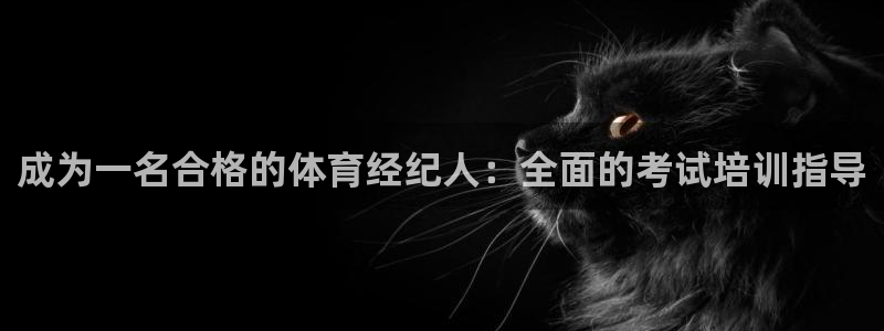 耀世娱乐总代：成为一名合格的体育经纪人：全面的考试培