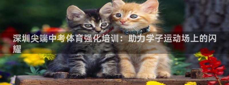 耀世汽车：深圳尖端中考体育强化培训：助力学子运动场上